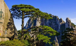 團(tuán)建|魅力初秋，歡歌同行 -2019鑫創(chuàng)夏令營